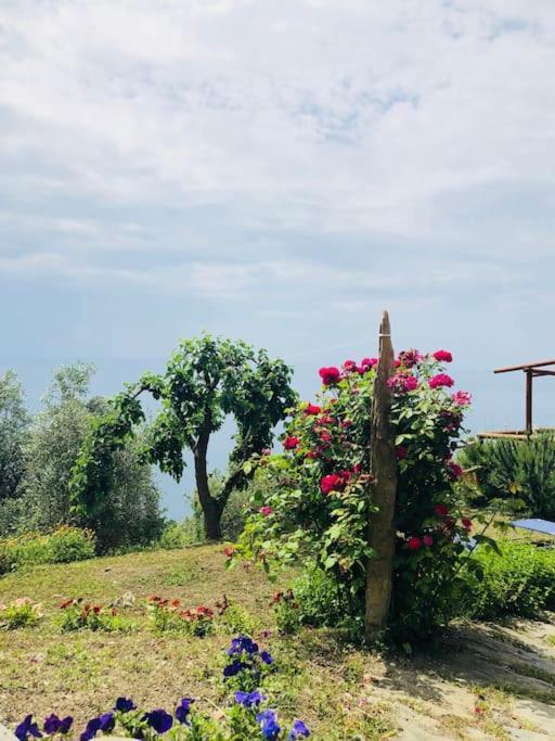 Amazing Flat At The Heart Of 5 Terre National Park Apartment Vernazza Bagian luar foto